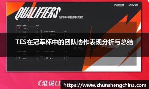 TES在冠军杯中的团队协作表现分析与总结